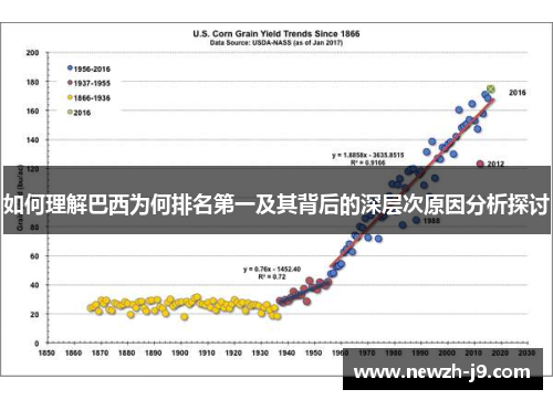 如何理解巴西为何排名第一及其背后的深层次原因分析探讨